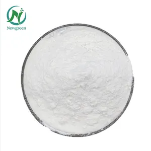 High Quality L-carnitine Powder Best Quality 99%min L-Carnitine Powder