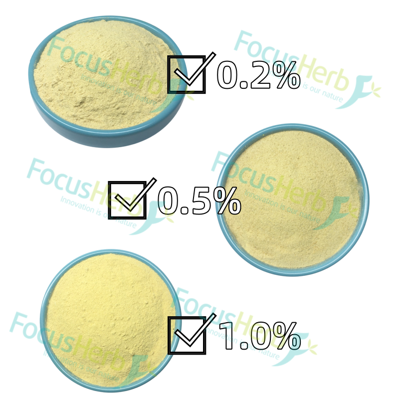 corn germ extract powder