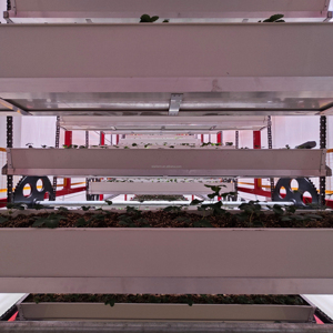 Grande ferme modulaire intégrée en conteneurs, automatisée et à entraînement par chaîne, conçue en usine pour l'agriculture urbaine - Product Image 5