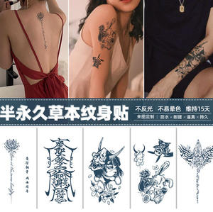 Imprimante à tatouage à l'encre de jus, tatouages temporaires semi-permanents à base de plantes, imperméables, faux jus, 2 semaines - Product Image 2