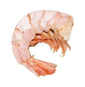 กุ้งปอกเปลือกแช่แข็งพร้อมปรุง พรีเมียม โปรตีนสูง คาร์โบไฮเดรตต่ำ อาหารทะเลสำหรับธุรกิจ HoReCa ขายส่งจำนวนมาก - Product Image 4