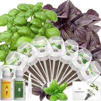 Kit de graines de basilic hydroponique en gros pour systèmes de jardinage intelligent d'intérieur avec 8 capsules, éponges, paniers, dômes et étiquettes