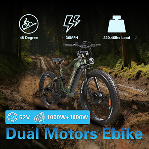 Vélo à double moteur Torque, 55 km/h, pneus larges 26*4, cadre en aluminium, freins à disque hydrauliques, batterie 52V 23Ah, DP-P2, performances haute vitesse - Product Image 2