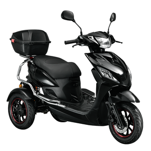 Motocicletas Vintage EEC Euro5 OEM de 3 Ruedas, Motor sin Escobillas de 1000W, Batería Doble de Litio, Autonomía de 70KM para Adultos/Ancianos - Product Image 3