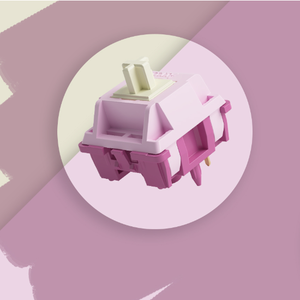 <span class=keywords><strong>Akko</strong></span> V3 สวิตช์ Pro สีม่วงครีม 5 พินเหมาะกับปุ่มกดพร้อมสวิตช์คีย์บอร์ดแบบสัมผัสโครงสร้าง MX มาตรฐาน - Product Image 3