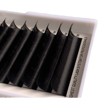 0.03 0.05 0.07MM Premium Faux Cils Extensions Chat Poupée Yeux Fibre Soie Russe Volume Cils C D CC DD Curl