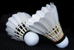 Volant <span class=keywords><strong>de</strong></span> <span class=keywords><strong>Badminton</strong></span> d'entraînement professionnel personnalisé <span class=keywords><strong>Badminton</strong></span> Durable Match <span class=keywords><strong>de</strong></span> plumes d'oie <span class=keywords><strong>Badminton</strong></span> - Product Image 4