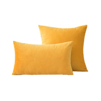 Housses de coussin carrées en velours à motif uni, 18x18 pouces, style luxe moderne et épuré, personnalisables, pour la maison et l'hôpital, vente en gros
