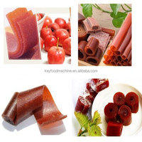 Snelle Productie En Automatisering Beroemde Merk Smakelijke Biologische Fruitleer Fruitstrip Maken Machine Lijn