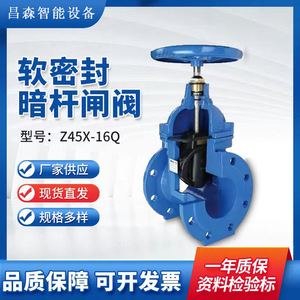 Vanne à opercule Z45X-16Q en fonte ductile à joint souple, type à bride, pour eau à température normale, pression moyenne, à opercule simple - Product Image 4