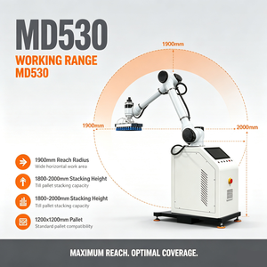 Robot Paletizador Integrado para Cajas de Cartón, Sistema Cobot de 6 Ejes con Base Móvil para Soluciones de Empaquetado en el Final de Línea - Product Image 5