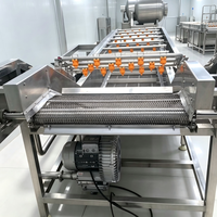 Hogedruk spuitmachine voor fruit en bladgroenten, bladermolen met vibratie, windblazerdroger