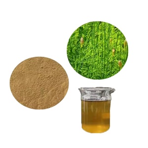 Đuôi ngựa chiết xuất silica 2% 7% 12%/đuôi ngựa thảo mộc bột/đuôi ngựa chiết xuất - Product Image 2