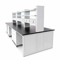 Banc de travail de laboratoire à structure en acier pour salle blanche, mobilier de laboratoire, table stable à structure en acier avec étagère de rangement pour institut de recherche