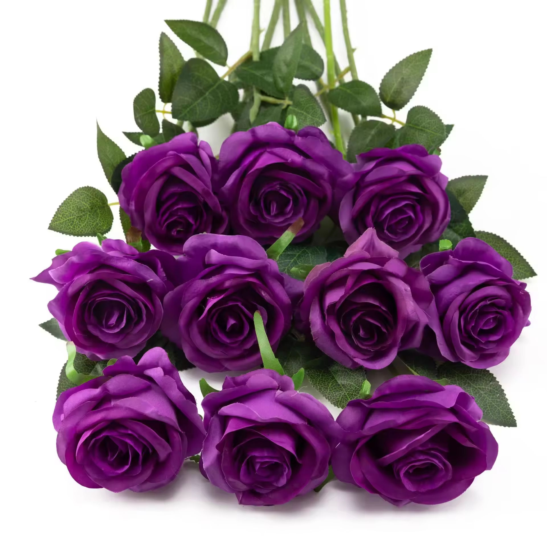 สีม่วง (เดี่ยว)