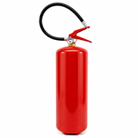 Extincteur de Haute Qualité CE EN3, Poudre Sèche ABC 40%, Équipement Anti-incendie, Extincteurs Portables 1-9kg