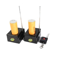 Système d'allumage de feux d'artifice sans fil à télécommande pour scène intérieure, machine pyrotechnique pour mariage, festival, fête