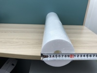 Filtre à eau pour sédiments, cartouches filtrantes à eau de 10 pouces, PP soufflé à chaud