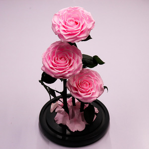 Giorno di San Valentino Anniversario di Matrimonio Compleanno Conservato <span class=keywords><strong>Rosa</strong></span> Mai Appassito Rose Fiore in 12.5X6 Cupola di Vetro Regalo - Product Image 6