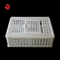Cage de poulet en plastique, 755x555x250mm, économique