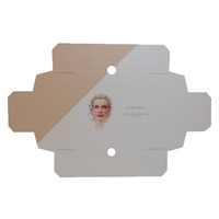 Vente en gros d'emballages en papier carton avec logo personnalisé pour vêtements, t-shirts, sous-vêtements, boîtes de type dossier pour marques de vêtements