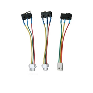 Micro-interrupteur 24 V 1 A pour chauffe-eau et cuisinière à gaz - Product Image 4