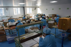 Yueshunxing Nhà Máy Tùy Chỉnh 6G 20G Kem Che Khuyết Điểm Bút Tẩy Đường Cong Thanh Bao Bì Rõ Ràng Vòng Rỗng Kem Che Khuyết Điểm Ống - Product Image 6