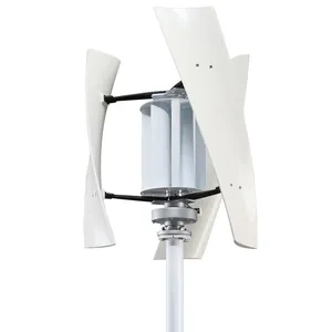 Turbine éolienne à axe Vertical 2000W 3000W 48v/24V générateur d'énergie Alternative 2kw 220v AC sortie Kit complet domestique