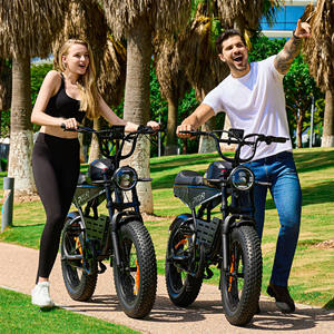 Vélo électrique de ville GALAXY 48V 500W Batterie 30Ah 20 pouces en alliage d'aluminium Vélo électrique pour adulte 7 vitesses Ebike - Product Image 4