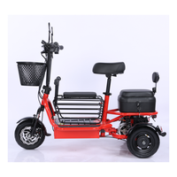 Vente directe d'usine, scooter électrique à trois roues de haute qualité, pneus larges, 800W, pliable, moteur, voyage pour adultes