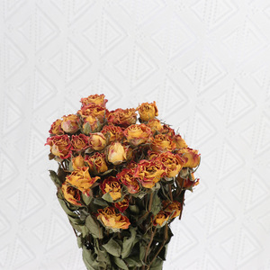 Usine de couleur riche grande vente vrais Bouquets de fleurs de Rose sèche naturelle avec <span class=keywords><strong>tige</strong></span> pour la décoration intérieure de Restaurant de bureau à domicile - Product Image 6