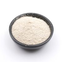 Assaisonnement barbecue de poulet frit épicé original de haute qualité 1 KG poudre de marinade séchée certifiée Halal assaisonnements d'épices mélangées
