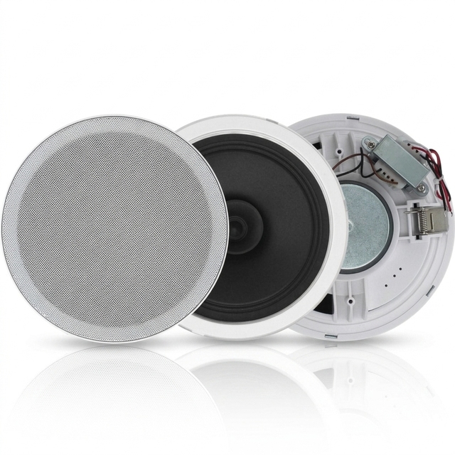 Wholesale Public Address Ceiling Speaker 6/6.5/8 Inch ABS Metal Grill Built-in Transformer for USB Easy Install Coaxial