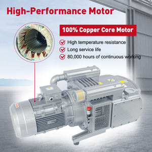 Wordfik vd400 कोई तेल शुष्क रोटरी वेन वैक्यूम पंप नहीं है cnc राउटर वुडवर्किंग मशीन 350 मबार उच्च प्रवाह वायु सक्शन - Product Image 5