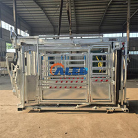 Machine mobile de haute qualité pour la coupe des sabots de bétail, avec étrier hydraulique galvanisé à chaud