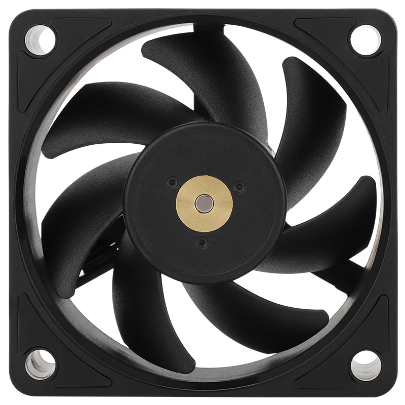 TL-B6 NEGRO