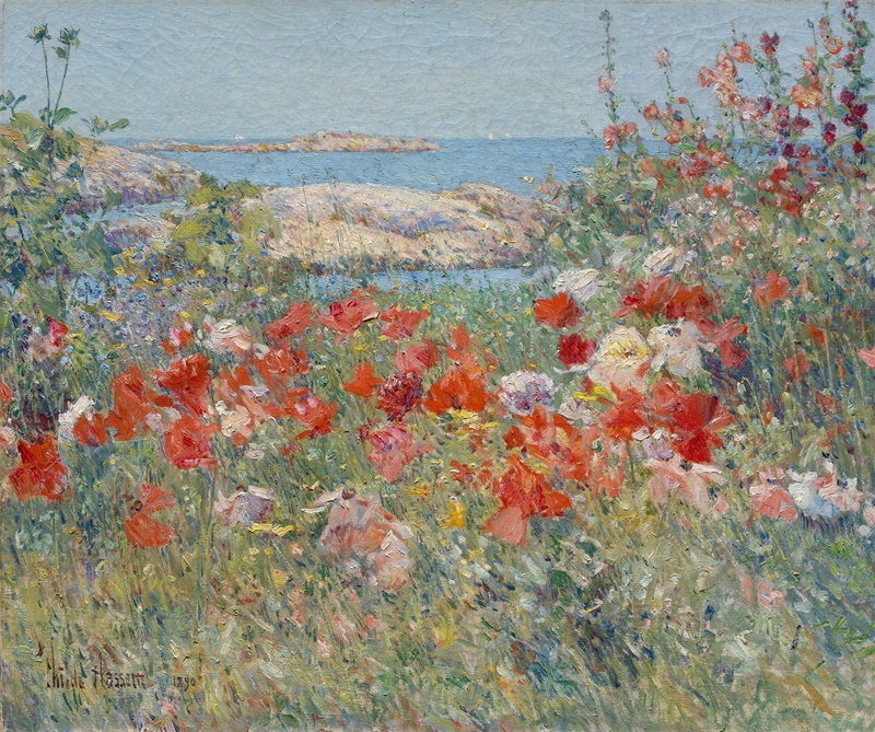 Rosa madeira
