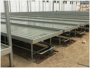 <span class=keywords><strong>Table</strong></span> de serre hydroponique de taille standard, logistique, <span class=keywords><strong>table</strong></span> de semis mobile à <span class=keywords><strong>marée</strong></span> intérieure, bancs roulants automatiques - Product Image 4