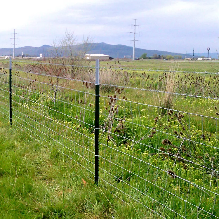 Clôture en treillis métallique pour chevaux/clôture de champ de 6 pieds et 8 pieds de hauteur/clôture de champ de prairie pour l'élevage de chèvres