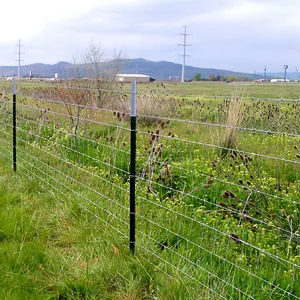 Wire Mesh Fence For Horse/ 6ft 8ft Height Field Fencing/ Goat Farming Grassland Field Fence