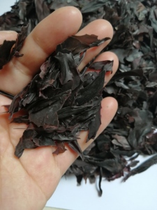 Algas naturales para comida, dulce y fino, 1000g - Product Image 5