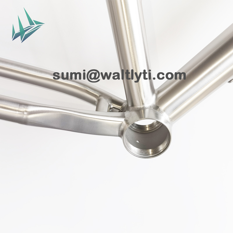 700C Titanium Gravel Bike Frame - UDH Dropout & Internal Routing