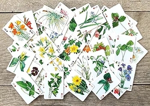Collezione di fiori selvatici carte da gioco illustrazioni botaniche Vintage fioriture colorate giardino bellezze Delicate fiori da campo di carta - Product Image 3