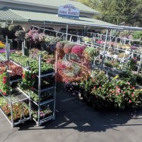 Carro de exhibición de hongos tipo Euro, carrito danés para plantas de vivero
