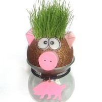 Kits de propagation de plantes en forme de poupées carrées mignonnes - Écologiques et durables pour l'intérieur/extérieur, utilisation au sol dans les jardins, pour la croissance des plantes des enfants
