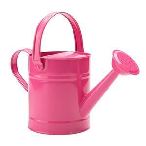 Arrosoir en tôle galvanisée avec un design luxueux de couleur rose, décoration, arrosoir en fer pour accessoires et outils de jardin - Product Image 1