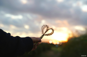 <span class=keywords><strong>Samyang</strong></span> AF 24-70Mm F2.8 FE Penuh Bingkai Auto Fokus Lensa Zoom Standar untuk Sony E Mount Kamera - Product Image 5