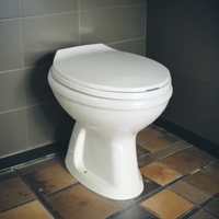 Cuvette de toilette de chasse d'eau de seau philippin sans toilette de réservoir