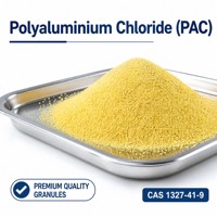 Chlorure de polyaluminium en poudre pour le traitement des eaux usées de tannerie, coagulant