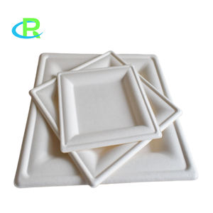 12 Zoll quadratisches Einweg geschirr Zuckerrohr Bagasse Zellstoff Papier Party Teller Kompost ierbar biologisch abbaubare Platten - Product Image 1